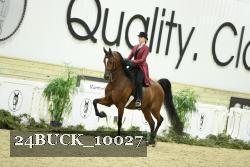 24BUCK_10027 thumbnail