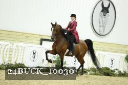 24BUCK_10030 thumbnail