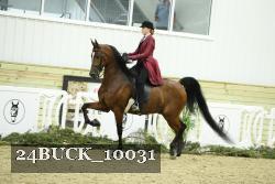 24BUCK_10031 thumbnail