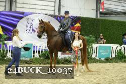 24BUCK_10037 thumbnail