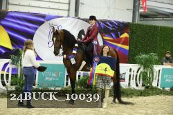 24BUCK_10039 thumbnail