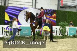 24BUCK_10042 thumbnail