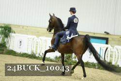 24BUCK_10043 thumbnail