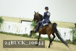24BUCK_10044 thumbnail