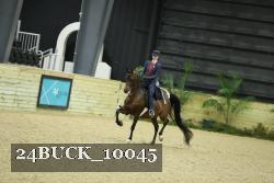 24BUCK_10045 thumbnail