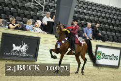 24BUCK_10071 thumbnail