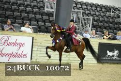 24BUCK_10072 thumbnail