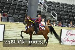 24BUCK_10073 thumbnail