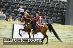 24BUCK_10074 thumbnail
