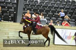 24BUCK_10077 thumbnail