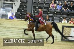 24BUCK_10078 thumbnail