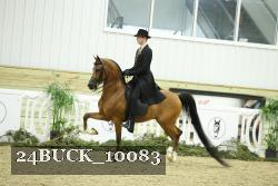 24BUCK_10083 thumbnail
