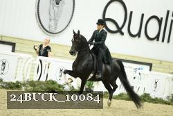 24BUCK_10084 thumbnail