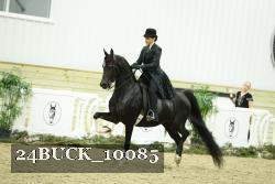 24BUCK_10085 thumbnail