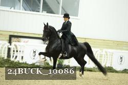 24BUCK_10086 thumbnail
