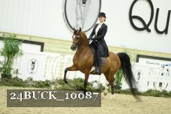 24BUCK_10087 thumbnail