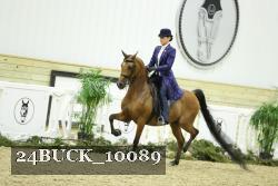 24BUCK_10089 thumbnail