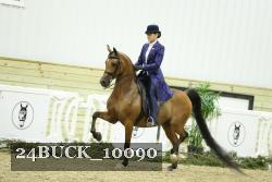24BUCK_10090 thumbnail