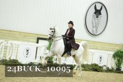 24BUCK_10095 thumbnail