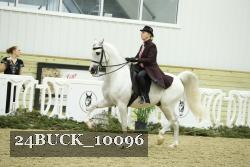 24BUCK_10096 thumbnail