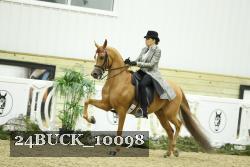 24BUCK_10098 thumbnail
