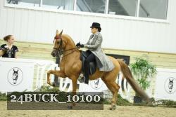 24BUCK_10100 thumbnail