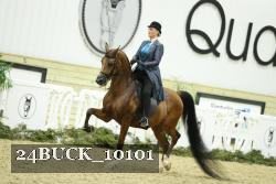 24BUCK_10101 thumbnail