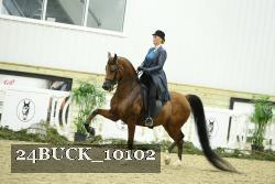 24BUCK_10102 thumbnail