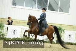 24BUCK_10103 thumbnail