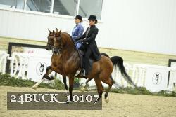 24BUCK_10107 thumbnail