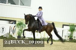 24BUCK_10109 thumbnail