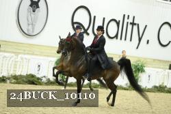 24BUCK_10110 thumbnail