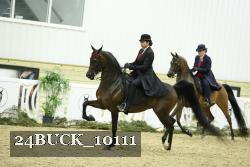 24BUCK_10111 thumbnail