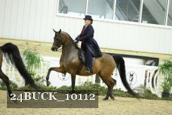 24BUCK_10112 thumbnail