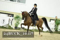 24BUCK_10117 thumbnail