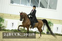 24BUCK_10118 thumbnail