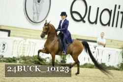 24BUCK_10123 thumbnail