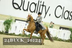 24BUCK_10124 thumbnail