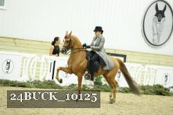 24BUCK_10125 thumbnail