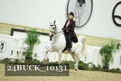 24BUCK_10131 thumbnail