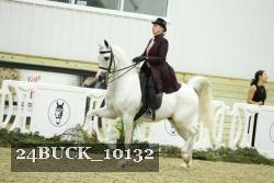 24BUCK_10132 thumbnail