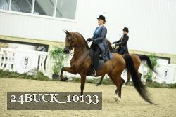 24BUCK_10133 thumbnail