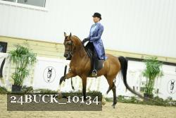 24BUCK_10134 thumbnail