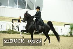 24BUCK_10136 thumbnail