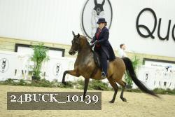 24BUCK_10139 thumbnail
