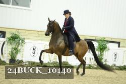 24BUCK_10140 thumbnail