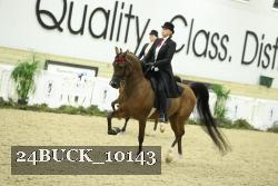 24BUCK_10143 thumbnail