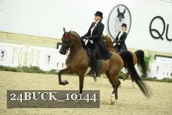 24BUCK_10144 thumbnail