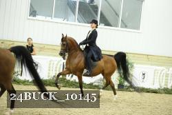 24BUCK_10145 thumbnail