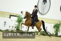 24BUCK_10147 thumbnail